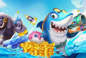 Bsports网页版2024最新版